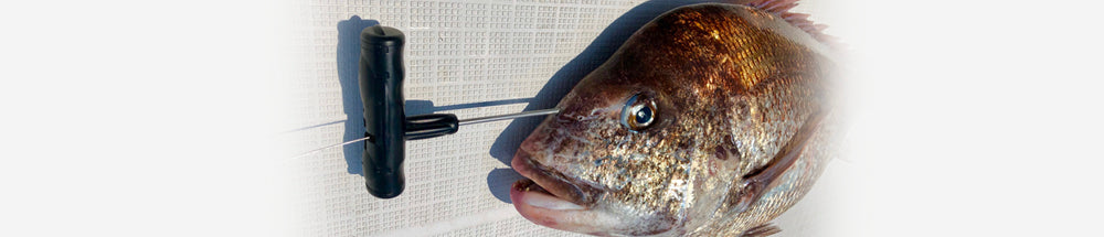 神経絞め・神経抜き – lumica shop