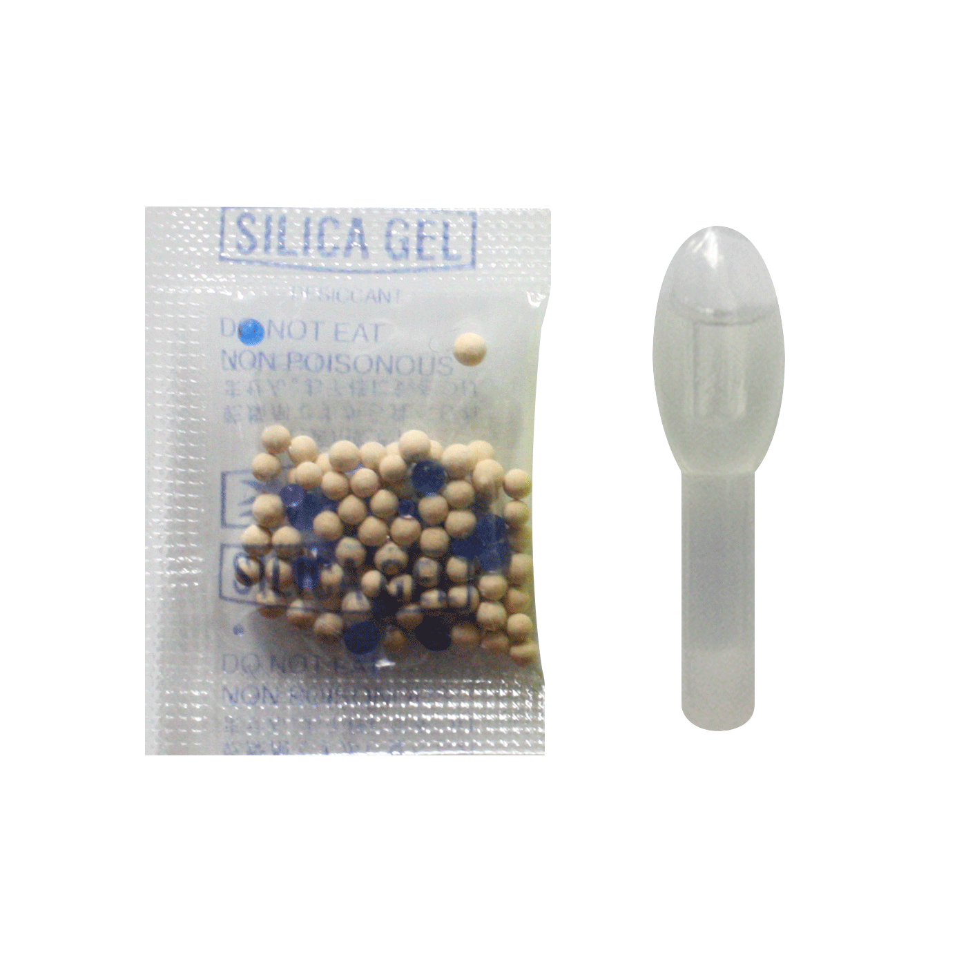 ウミホタル【全4サイズ】