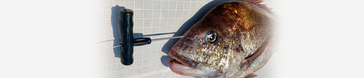 神経絞め・神経抜き