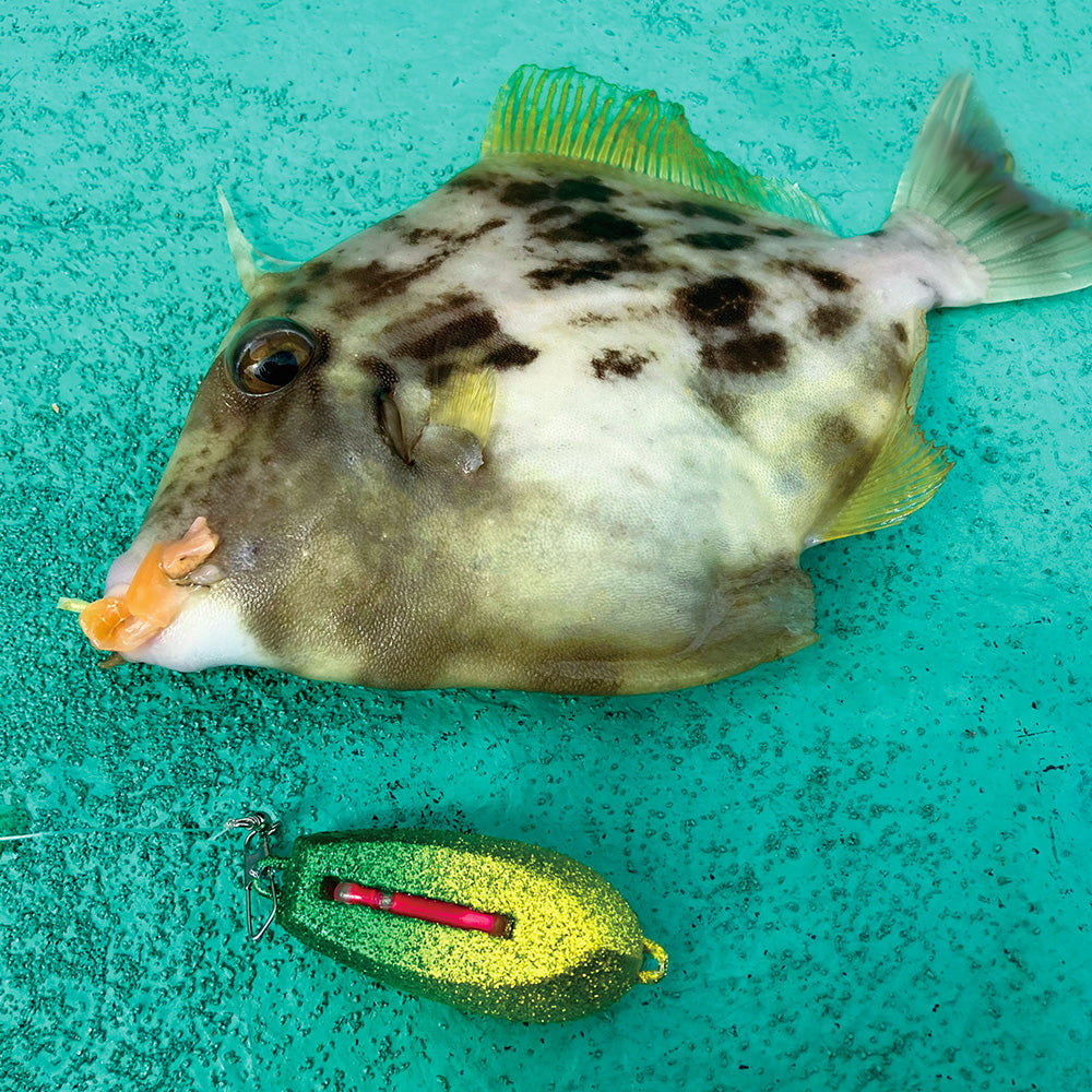 光略カスタムシンカー