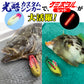 ケミホタル【全７サイズ】