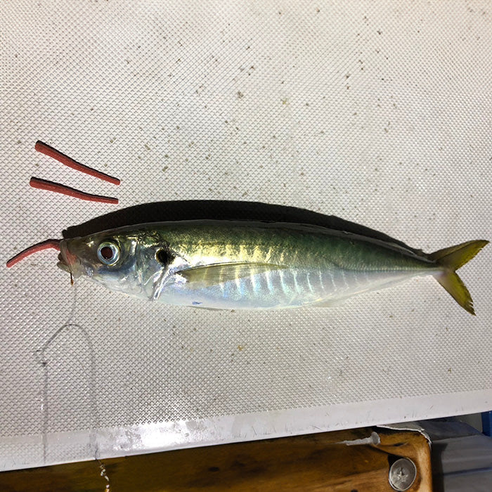 Reala -リアラ-【生分解エサワーム】